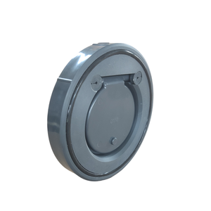 Échantillon gratuit ATA <span class=keywords><strong>pas</strong></span> <span class=keywords><strong>cher</strong></span> prix 90mm à 315mm sans ressort gris PVC-U <span class=keywords><strong>plaquette</strong></span> à <span class=keywords><strong>disque</strong></span> unique bride clapet anti-retour en plastique - Product Image 1