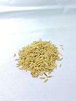 IPB 13 Senopati, matériau de plantation de riz de qualité supérieure à haut rendement, variété adaptée aux climats, semence botanique d'Indonésie