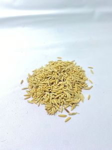 Semences de riz IPB 13S Benih 100% haut rendement, récolte précoce en 85 jours, fournisseur Botani Seed Indonésie - Product Image 3