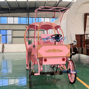 Carruaje Eléctrico para Bodas, Estilo Europeo, para Puntos Turísticos, Hoteles, Transporte de Turistas, Exposiciones Comerciales y Desfiles - Product Image 5
