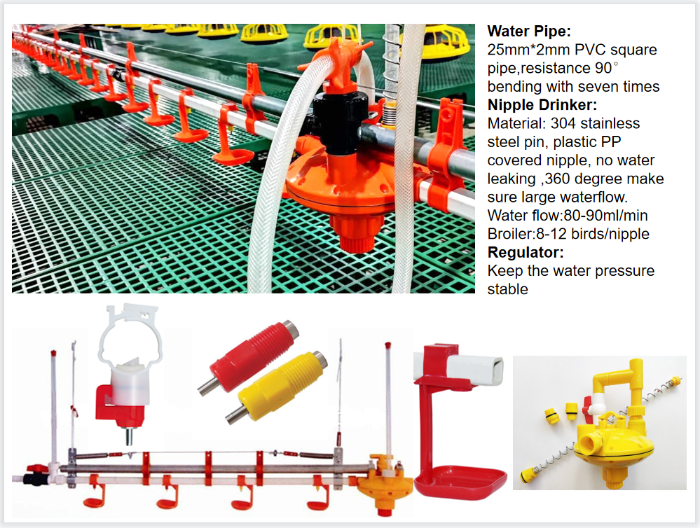 45-65 broiler Chicken Breeding Equipment HX Chicken Feed System