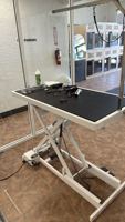 Table de toilettage électrique de luxe de haute qualité pour animaux de compagnie, avec levage croisé, en plastique et caoutchouc, pour usage en salle de bain