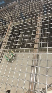 Chống gỉ mạ kẽm hàn dây lưới cuộn 2 "x 4" <span class=keywords><strong>12</strong></span> Gauge bảo vệ công nghiệp lưới - Product Image 4