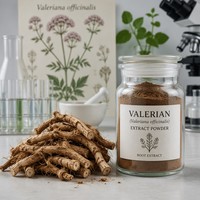 Extrait de racine de valériane naturelle en poudre, 0,8 % d'acide valérénique, qualité alimentaire, certifié HPLC, aide au sommeil