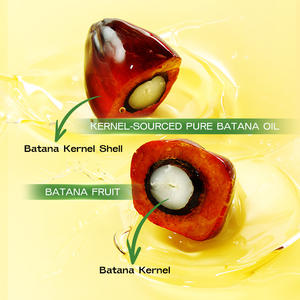 Aceite de BATANA Orgánico de Marca Privada para el Cuidado del Cabello, Acondicionador Botánico para el Cuero Cabelludo, Favorece el Crecimiento - Product Image 4