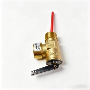 Valvola di sicurezza in ottone <span class=keywords><strong>per</strong></span> temperatura e pressione, valvola T&P con sonda di temperatura <span class=keywords><strong>per</strong></span> scaldabagno elettrico <span class=keywords><strong>a</strong></span> accumulo - Product Image 3