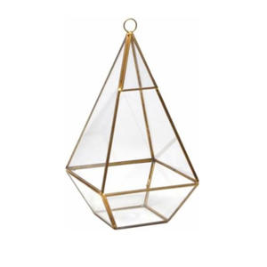 Terrario de lujo de Latón para Decoración interior y exterior del hogar, gran oferta, jarrón de mesa de estilo Ins hecho de hierro de vidrio para Navidad - Product Image 1