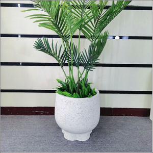 Ins Trendy Planter Special Shape Flower Vase Mini Flowerpot for Home Living Room <b>Ornament</b> - Product Image 1