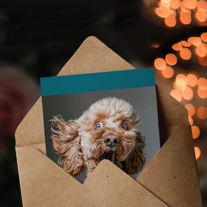 Carte d'anniversaire Artery8, photo de chien Cockapoo surprise, <span class=keywords><strong>blague</strong></span> amusante et coquine, carte de vœux d'animal, fabriquée en Chine - Product Image 3