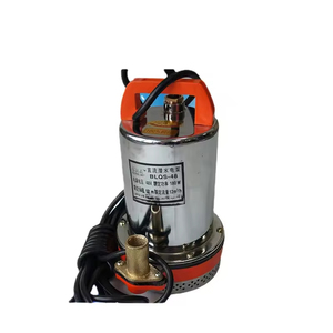 Bomba de Agua Sumergible de Precio de Fábrica 12v 24v 48v DC para Jardín, Agricultura, Riego, Uso Doméstico OEM - Product Image 2