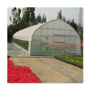 Agricultural Farm Fabricated Poly Green House Tunnel Hot Galvanized Steel Plastic Film Used Greenhouse Frames For Sale