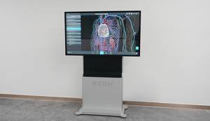 Anatomia humana sistema ensino realidade virtual anatomia modelo anatomia ensino facilitado virtual dissecção sistema ensino - Product Image 4