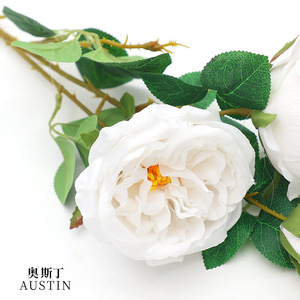 Roses artificielles Austin 30cm-100cm en plastique pour décorations de mariage et accessoires de maison - Product Image 1