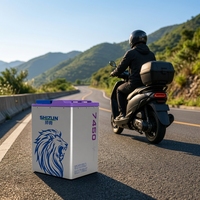 Batterie rechargeable 74V50AH LiFePO4 liquide avec GPS intégré, protection BMS complète, 3000 cycles, pour moto électrique et vélo électrique