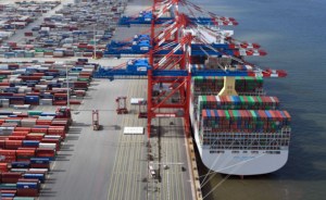 Servicio de envío marítimo FBA de Amazon desde Ningbo, <span class=keywords><strong>Shanghai</strong></span> , Qingdao , Shenzhen a Europa, Reino Unido - Product Image 4