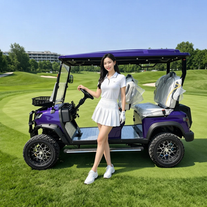 Voiturette de golf électrique tout-terrain 72V 48V à prix abordable, en métal, modèle Club Car et voiturette de golf – Meilleures ventes - Product Image 1