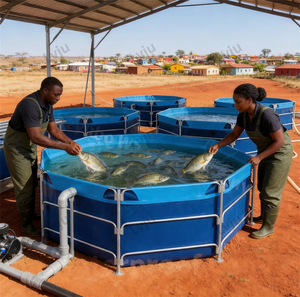 LVJU Laghetto per allevamento in tela con telaio in acciaio zincato ecologico, conveniente, per programmi di acquacoltura per comunità rurale africana - Product Image 1