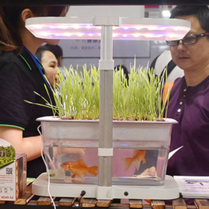 Smart Cultuur <span class=keywords><strong>Mini</strong></span> Aquaponic Desktop <span class=keywords><strong>Aquarium</strong></span> Met Led Grow Lampen <span class=keywords><strong>Aquarium</strong></span> Symbiose Voor Landbouwgrond Bloeien Applicatie - Product Image 6