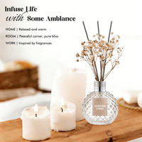Diffuseur de parfum d'intérieur en verre à bâtonnets, sans flamme, à longue durée, pour huiles essentielles d'aromathérapie