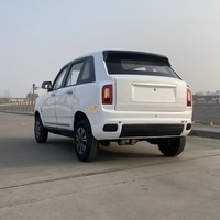Nuevo Vehículo Eléctrico de Baja Velocidad con Arranque de un Solo Toque, Edición Deluxe 3600w, Apertura de Puerta por Inducción sin Llave, Voz Inteligente con IA para Adultos