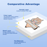 Imprimante jet d'encre UV à plat Cowint entièrement automatique haute vitesse pour l'impression de logos en relief sur textiles TPU pour vestes et badges