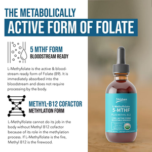 L-Metilfolato Orgánico USDA de Marca Privada, Gotas Líquidas de 5-MTHF con Metil <span class=keywords><strong>B12</strong></span>, 1 mg de Forma Activa, OEM/ODM - Product Image 4