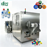 Machine de marquage laser numérique GS1 unique pour le positionnement des bouchons de bouteilles, idéale pour les lignes de production de mise en bouteille d'eau en série, conforme aux normes ASL BELGISI