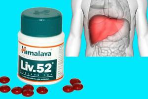 Indian Herbal Liver Health Care Himalaya <b>Liv</b>.<b>52</b> <b>Tablets</b> Healthcare <b>Tablets</b> at Wholesale Price - Product Image 5