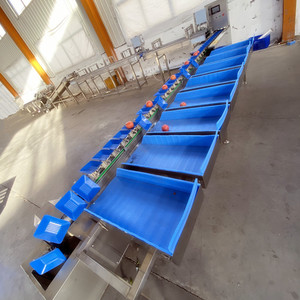 Máy Phân Loại Cân Nặng Nhiều Cấp Máy Phân Loại Cá Dưa Chuột Biển Hàu Máy Phân Loại Và Hái Cà Chua - Product Image 2