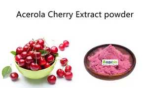 AOGUBIO fábrica Fornece Natural Fresco Vermelho Cereja Em Pó Cereja Orgânico Pó De Frutas Cereja