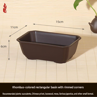 Pots à fleurs rectangulaires carrés pour plantes succulentes, en résine céramique, design respirant, plastique épaissi, écologique, style chinois rustique