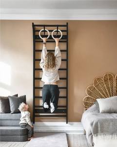 LM harga penjualan pabrik pemanjat dinding kayu Swedia untuk anak dewasa penggunaan latihan dalam ruangan tempat bermain - Product Image 1