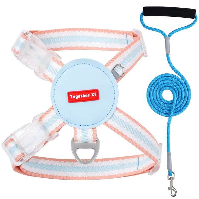 Harnais et laisse jaunes