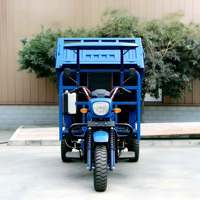 Tricycle de fret à essence 250cc, haute performance, haute capacité de charge, moto à roues arrière