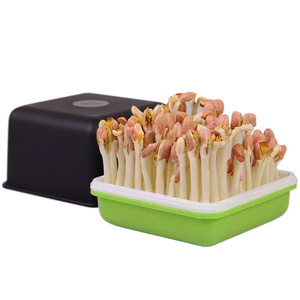 Plateaux de semis en plastique rectangulaires pour usage domestique Récipients de <span class=keywords><strong>culture</strong></span> d'eau pour semer et cultiver des germes de soja d'arachide - Product Image 1