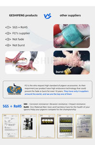 100Pc Open Plastic Clip Genummerd 10Mm Duivenbanden Plastic Clip Vogelring Met Serienummer 1-100 - Product Image 3