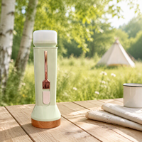 Lanterne de camping LED rechargeable solaire 2 en 1, lampe torche de type C, lampe de poche avec feu arrière pour la randonnée en plein air et les situations d'urgence