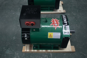 LANDTOP 10kw <strong>Single</strong> <strong>Phase</strong> Alternator 50/60hz Frequency 230v Rated Voltage Customizable <strong>ST</strong>/STC <strong>Series</strong> 220/380 Volt <strong>Generator</strong> - Product Image 5