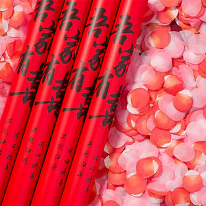 Vente chaude 2026, fête de célébration, lance-confettis manuel, canons à confettis, feux d'artifice, anniversaire, mariage, vente en gros pour les fêtes - Product Image 2