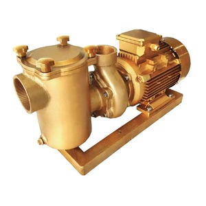 Pompes de <span class=keywords><strong>piscine</strong></span> électriques Pompe à eau de <span class=keywords><strong>piscine</strong></span> à circulation en cuivre Filtre en laiton Pompe à chaleur 5hp pour piscines - Product Image 4