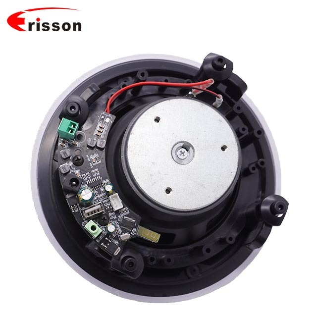 High Quality 5.25 Inch for Wireless Ceiling Speaker with 60 Watts Customizable Power Wi-Fi Connectivity · image 5