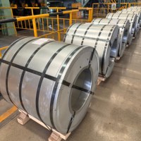 Tôles d'acier électrolytique pour capsules de bouteilles, 0,34 mm, tôle d'étain de première qualité, tôle d'étain électrolytique à défauts esthétiques