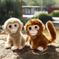 Jouet en peluche petit singe réaliste transfrontalier poupée singe aux yeux d'or PP coton lavé poupée de confort pour enfants cadeau d'anniversaire