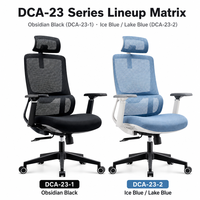 Chaise de bureau ergonomique à dossier haut en maille avec appui-tête 2D, double soutien lombaire, chaises de travail pivotantes pour bureau