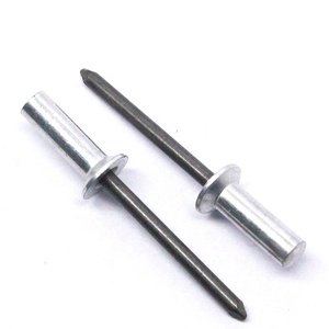 Trung Quốc giá rẻ nhôm thép đóng cuối chìm đầu đinh tán mù với thép trục gá - Product Image 2