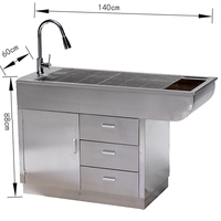 Longermay Chien Chat Traitement Table De Toilettage Pour Animaux De Compagnie En Acier Inoxydable Pet Vet Examen Table D'élimination