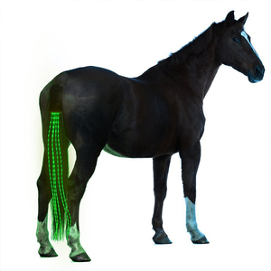 Fanale posteriore a led ad alta luminosità per equitazione - Product Image 1