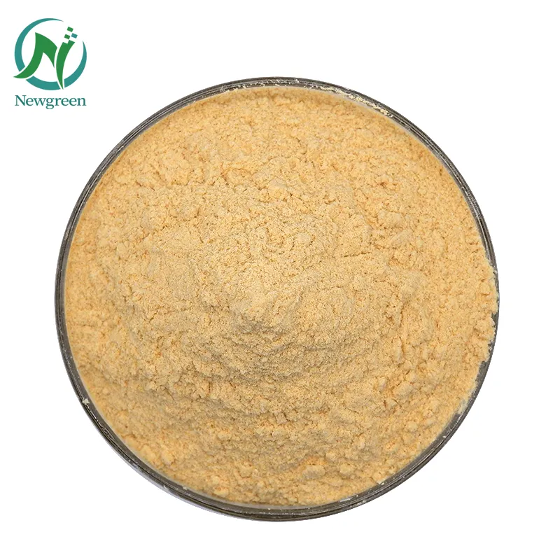 High Quality Food Grade Supplements Pure Fisetin Powder