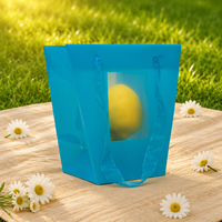 Boîtes d'emballage pliables en PVC/PET/PP en gros avec logo personnalisé et impression UV pour sacs cadeaux et sacs à fleurs (usage industriel)