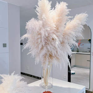 Hierba de Pampas Esponjosa para Decoración del Hogar y Bodas, Flores Secas Naturales, Hierba de Pampas Alta y Esponjosa - Product Image 6